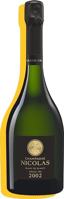 Bouteille champagne blanc de blancs grand cru 2002